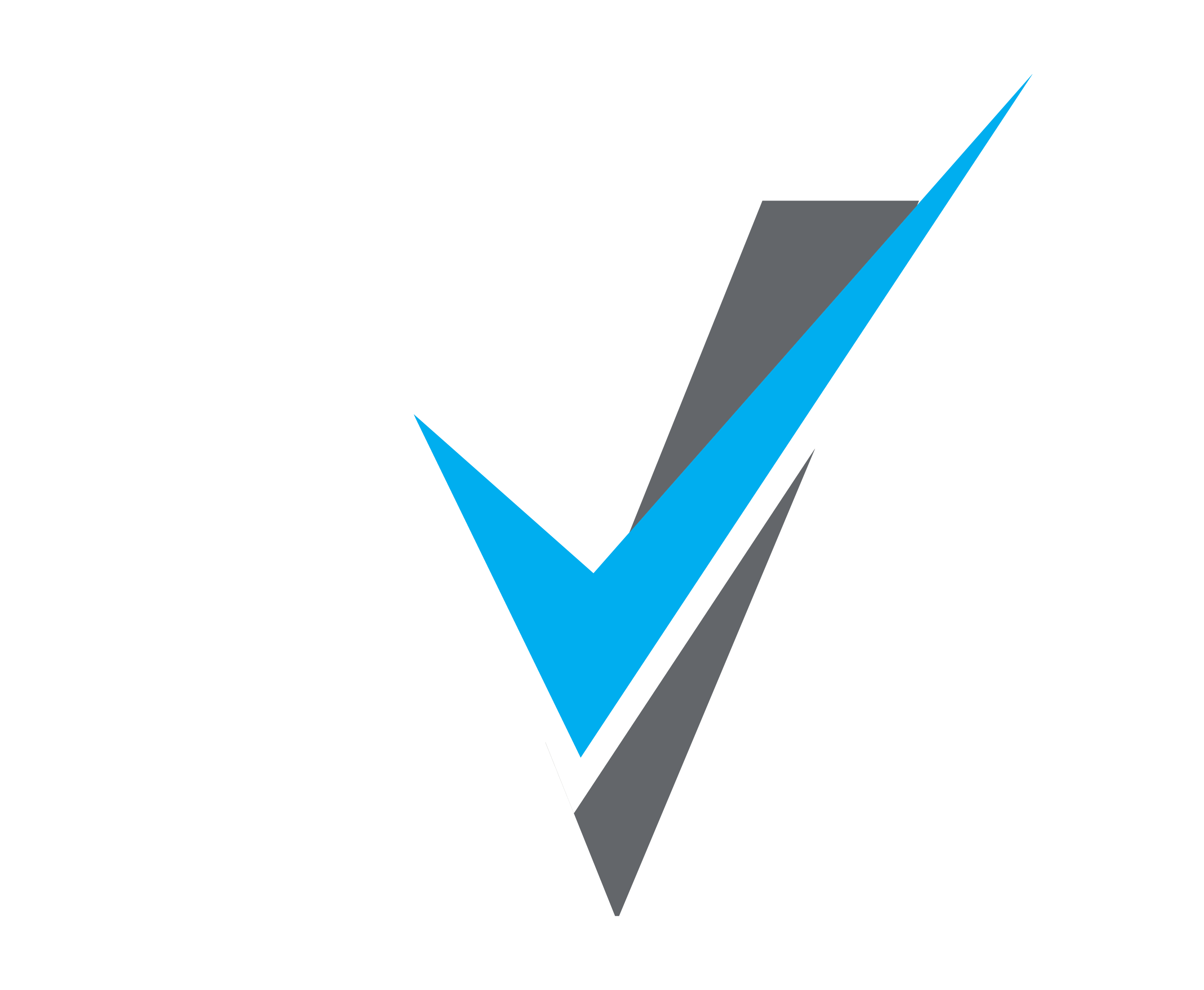 VerifiAI logo